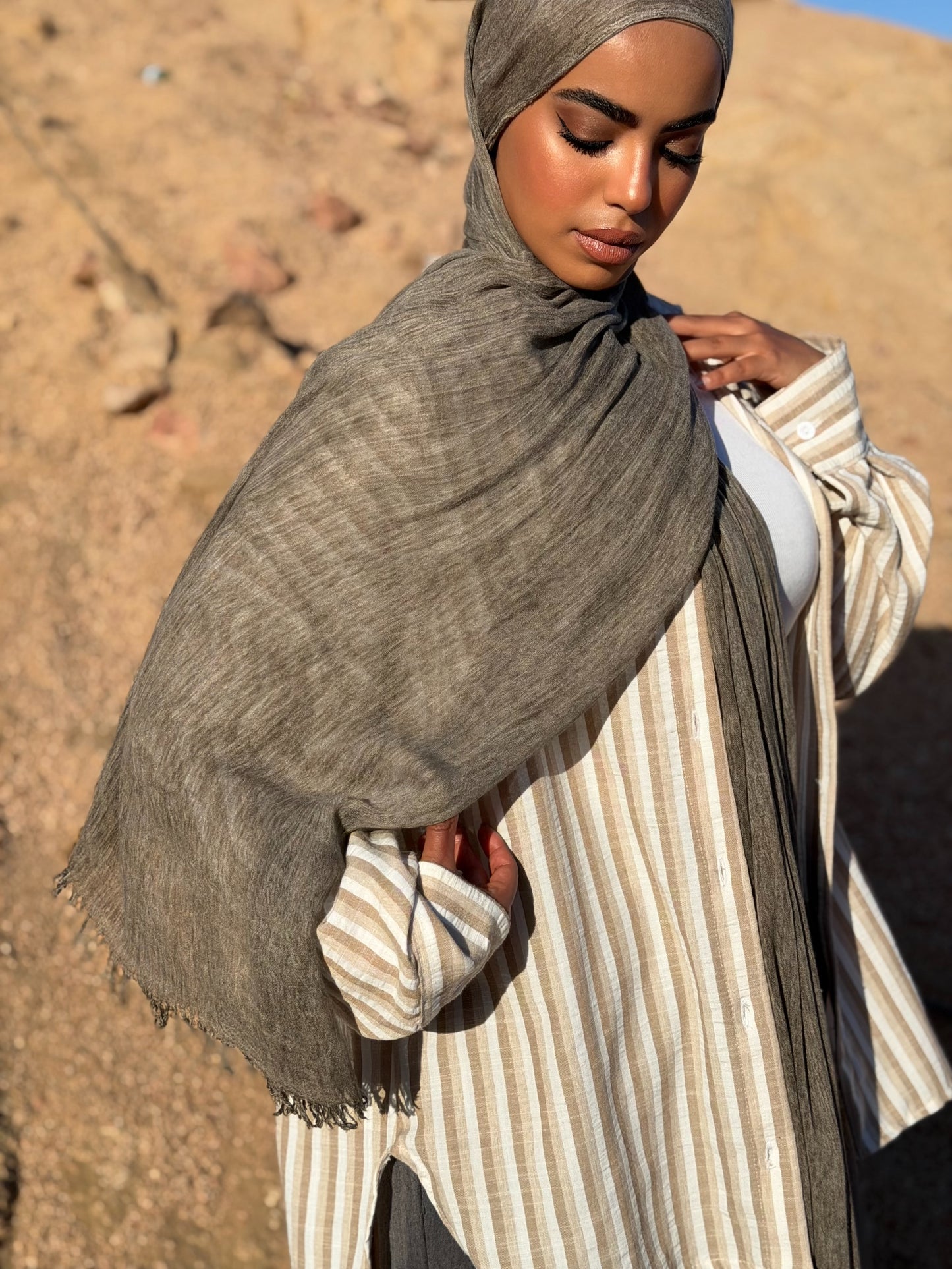 Desert Shadow