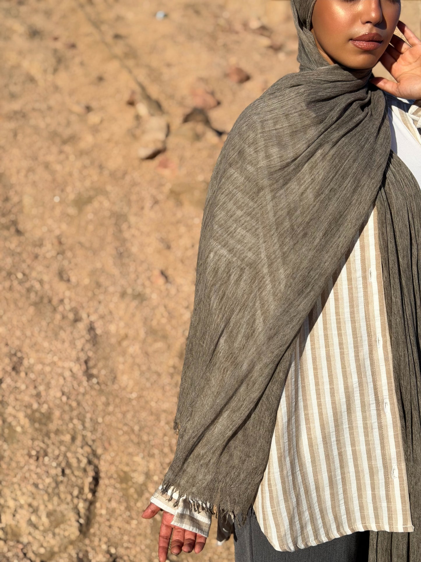 Desert Shadow