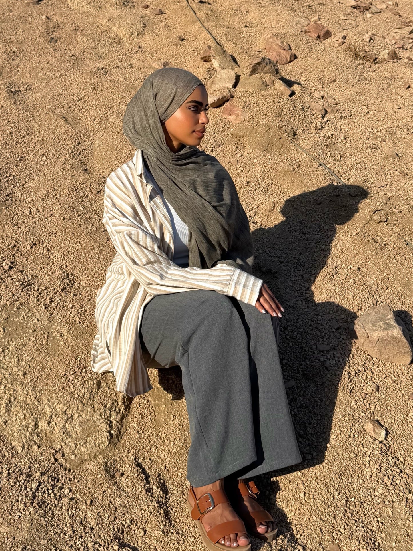 Desert Shadow