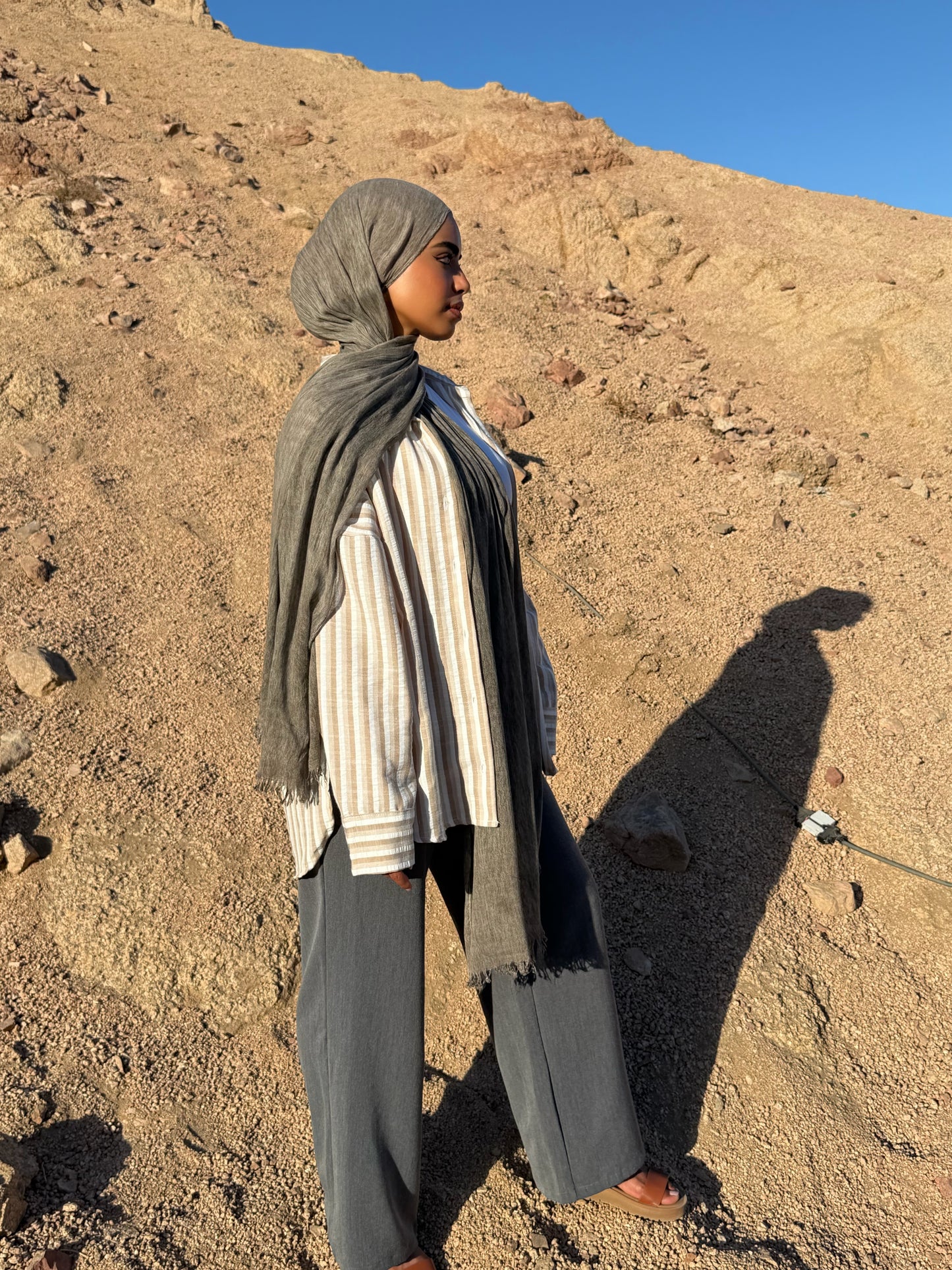 Desert Shadow