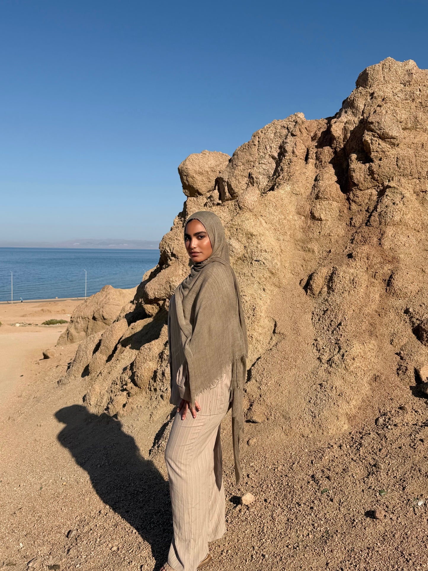Desert Taupe