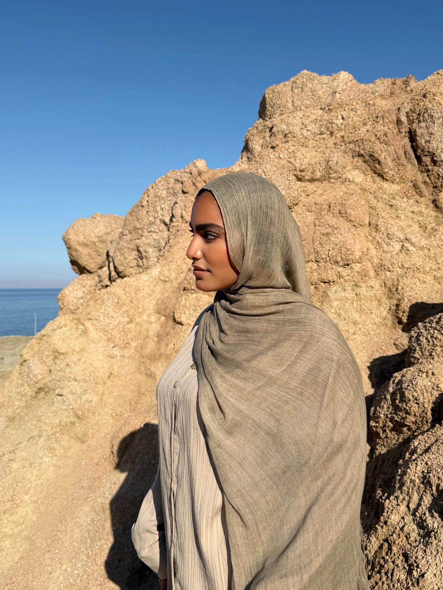 Desert Taupe